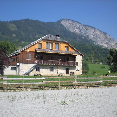 Les Paddocks Du Mont Blanc Mieussy Bagian luar foto